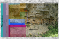 Trias-Stratigraphie-Buntsandstein-Muschelkalk-web